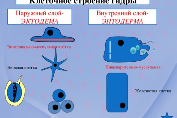 Kraken это современный маркетплейс