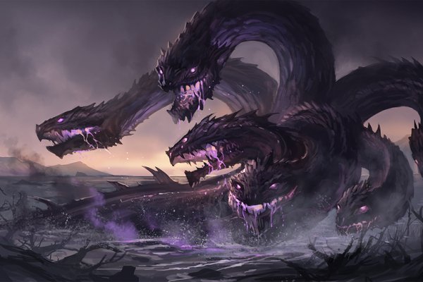 Gidra магазин