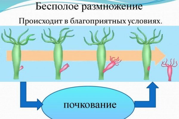 Регистрация на сайте кракен