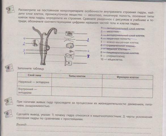 Kraken 2025 ссылка
