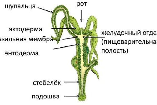 Кракен маркет только через тор